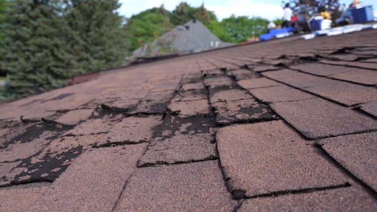 Best Tile Roofing Installation  in Fenton, MI
